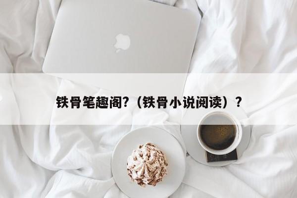 铁骨笔趣阁?（铁骨小说阅读）?